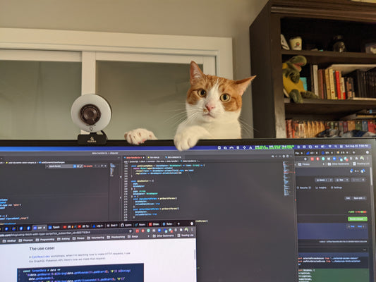 Apollo, a playful cat peeking over the computer monitor while I work